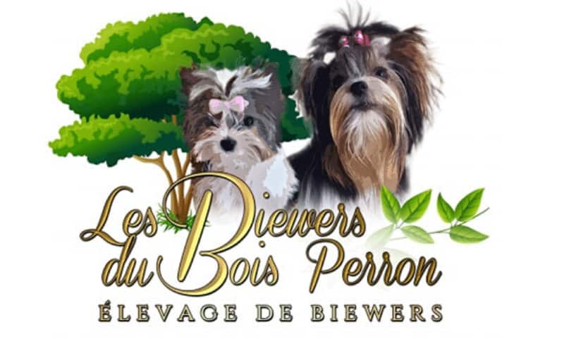 Contactez Les Biewers du Bois Perron
