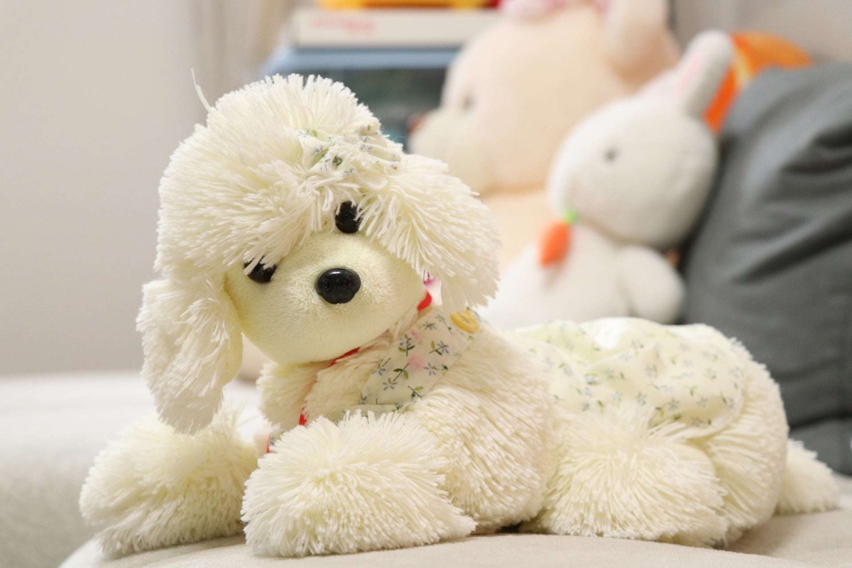 Pourquoi choisir l'élevage Les Biewers du Bois Perron